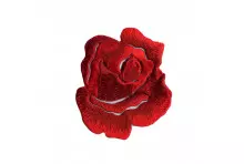 M ECUSSON ROSE ROUGE