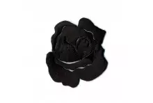 M ECUSSON ROSE NOIR