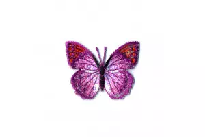 M ECUSSON PAPILLON PAILLETTES FUCHSIA