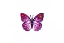 M ECUSSON PAPILLON PAILLETTES FUCHSIA