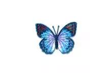 M ECUSSON PAPILLON PAILLETTES BLEU