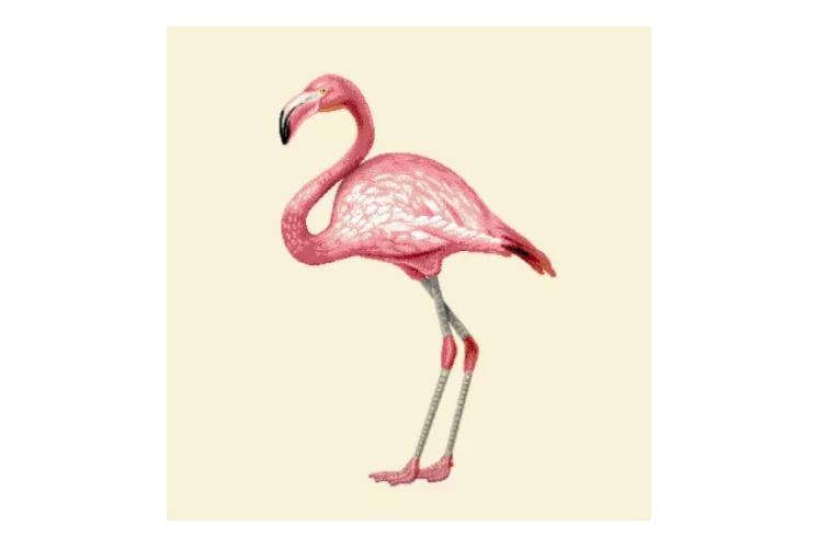 CARRÉ DÉCO VINTAGE FLAMANT ROSE